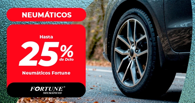 Imagen1