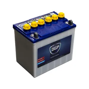 Batería DGP MF12N24-4 26AH 270CCA