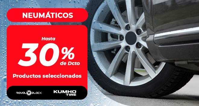 Imagen1