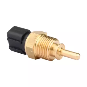 Sensor de Temperatura del Agua FAE 33355
